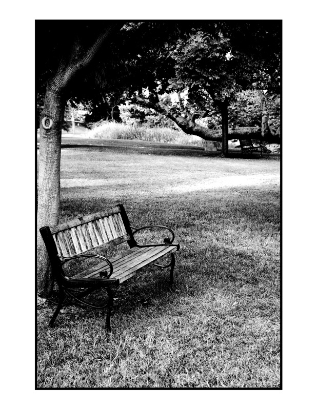 Photo of a B/W Bench