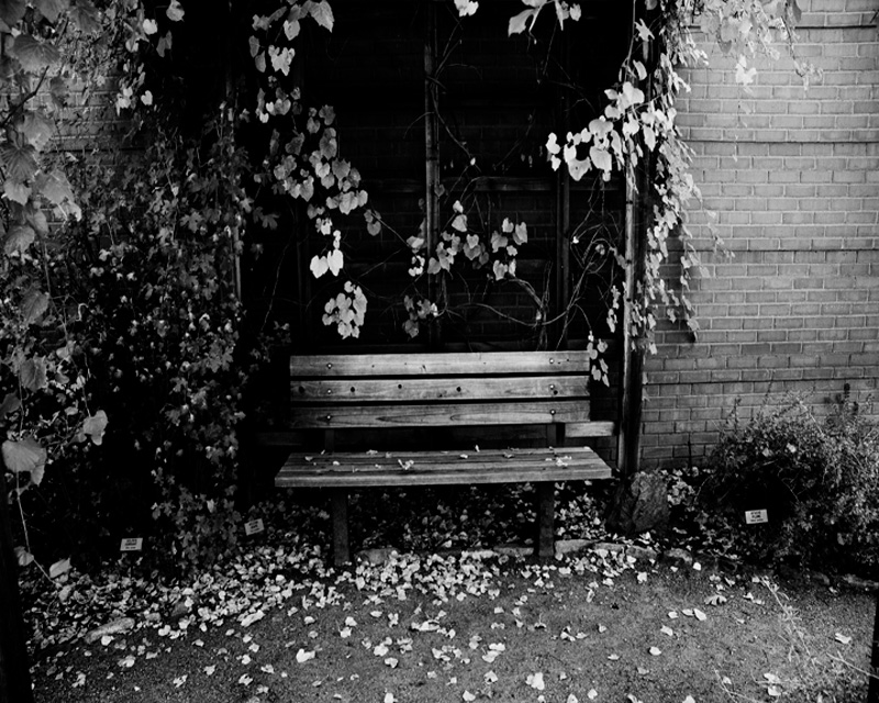 B/W photo of a bench